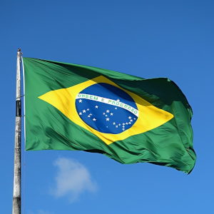 Brazilian flag